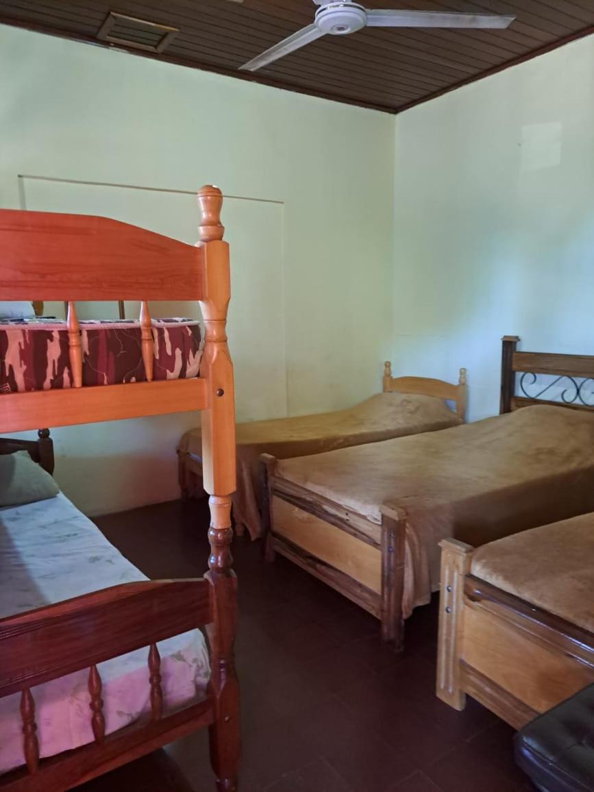 Hummingbird Hostel Ciudad del Este Buitenkant foto